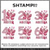 Бебешко боди за момиченце и тениски за семейството с пеперудка и надпис на цифра с точки по желание - Image 8